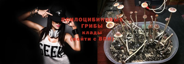 дмт Богданович