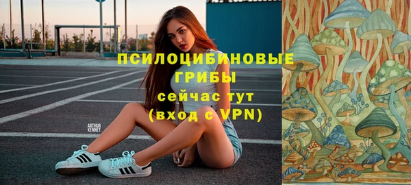 меф Богородицк
