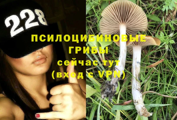 меф Богородицк