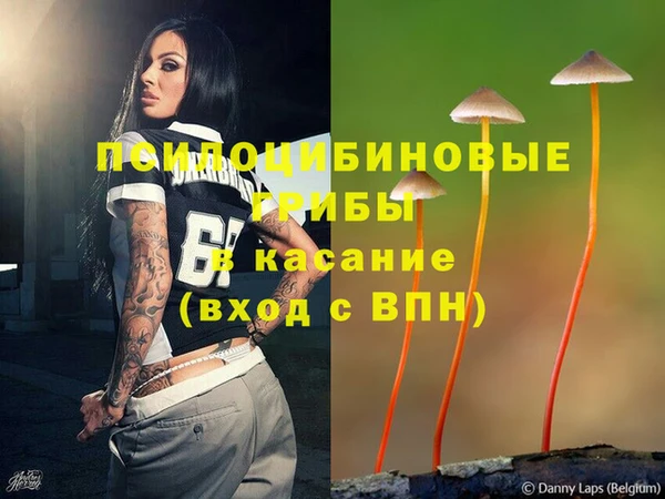 дмт Богданович