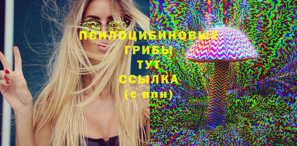 меф Богородицк