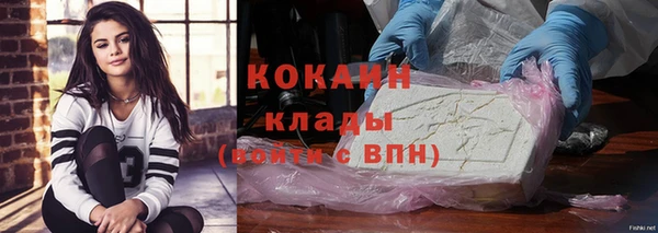 дмт Богданович