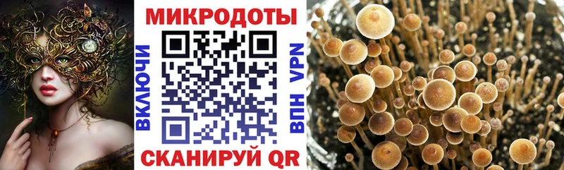 наркошоп Владивосток Галлюциногенные грибы мухоморы